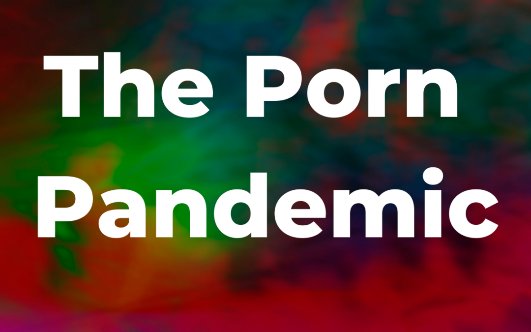 The Porn Pandemic | LifePlan